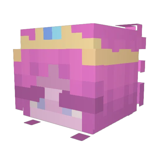 wiicatz Minecraft avatar head, 3D render