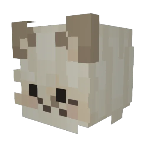 wiidog Minecraft avatar head, 3D render