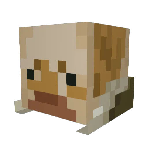 wiiindex Minecraft avatar head, 3D render