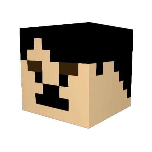 wiilixx Minecraft avatar head, 3D render