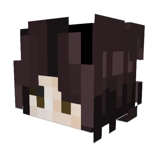 wiinwrldz Minecraft avatar head, 3D render