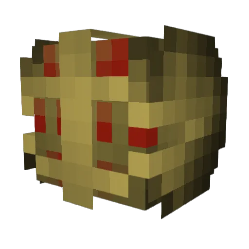 wiipapneers Minecraft avatar head, 3D render