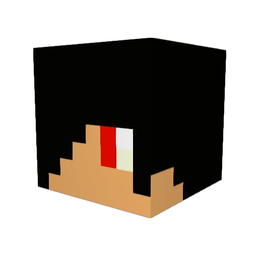 wiiz11 Minecraft avatar head, 3D render
