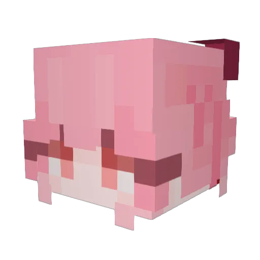wijwidh Minecraft avatar head, 3D render