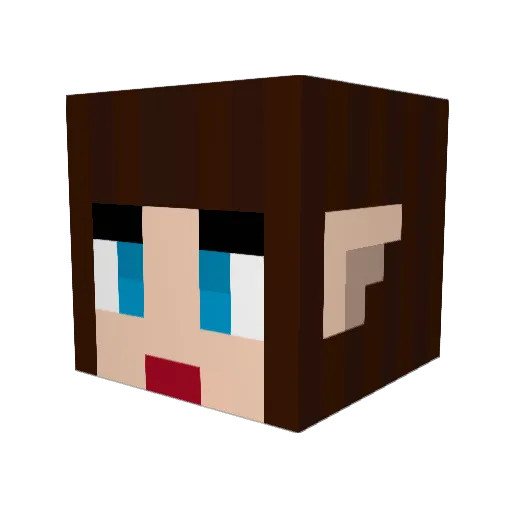 wikbobo Minecraft avatar head, 3D render