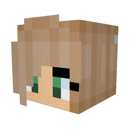 wikcia_wentz Minecraft avatar head, 3D render