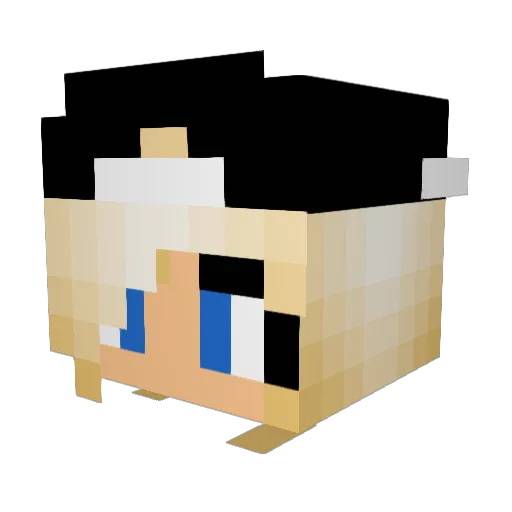 wiki2478 Minecraft avatar head, 3D render