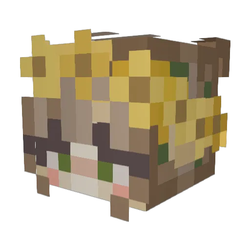 wiki_ms Minecraft avatar head, 3D render