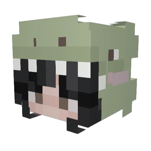 wikiiiwi Minecraft avatar head, 3D render