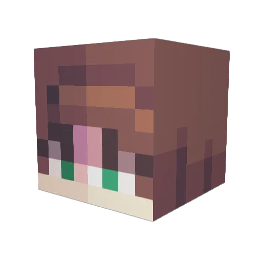 wikileek Minecraft avatar head, 3D render