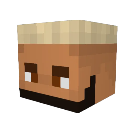 wikken9 Minecraft avatar head, 3D render