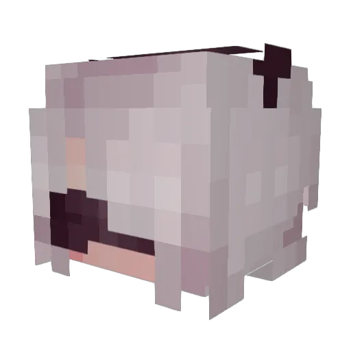wikkid123 Minecraft avatar head, 3D render