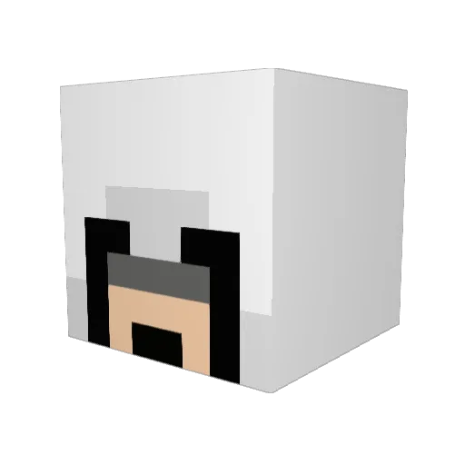 wiktor2564 Minecraft avatar head, 3D render
