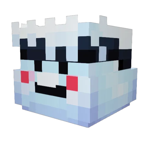wiktor9920 Minecraft avatar head, 3D render