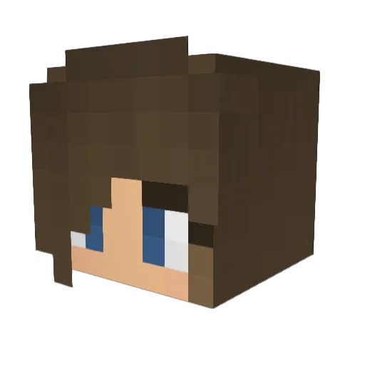 wiktoria22 Minecraft avatar head, 3D render