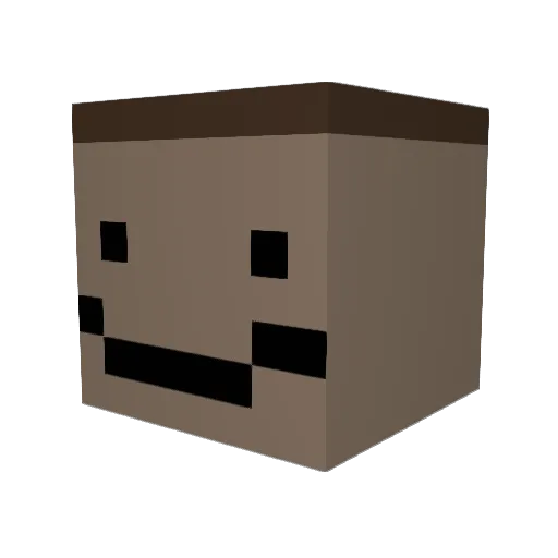 wiktorwtf Minecraft avatar head, 3D render