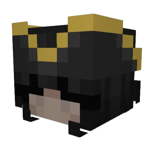 wikus_x Minecraft avatar head, 3D render
