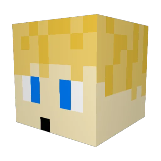 wil1111 Minecraft avatar head, 3D render
