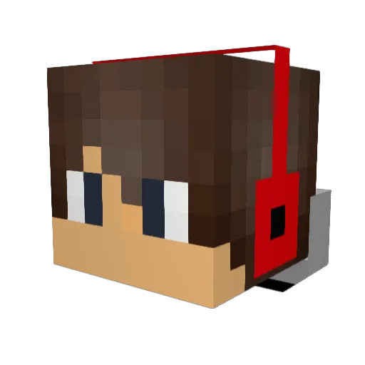 wil_de_12e Minecraft avatar head, 3D render