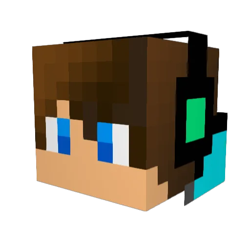 wilbr11 Minecraft avatar head, 3D render