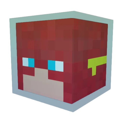 wild_cat134 Minecraft avatar head, 3D render