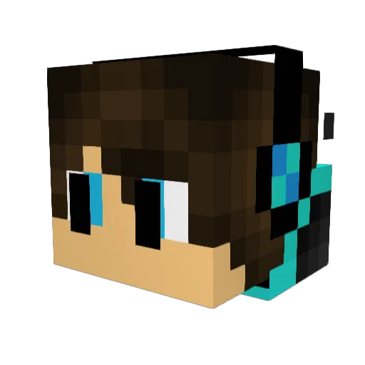 wildboy6000 Minecraft avatar head, 3D render