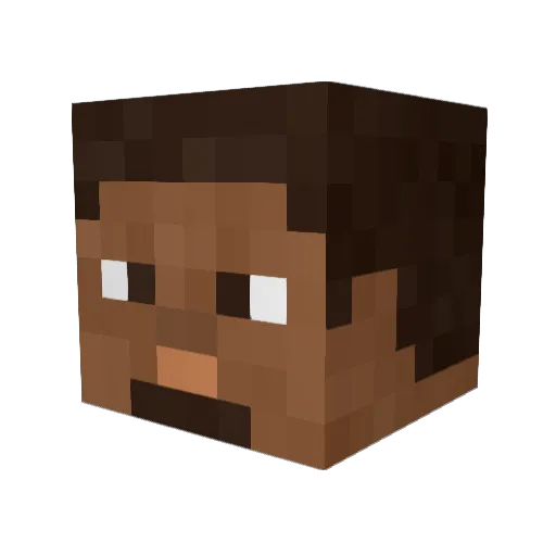 wildboyzone Minecraft avatar head, 3D render