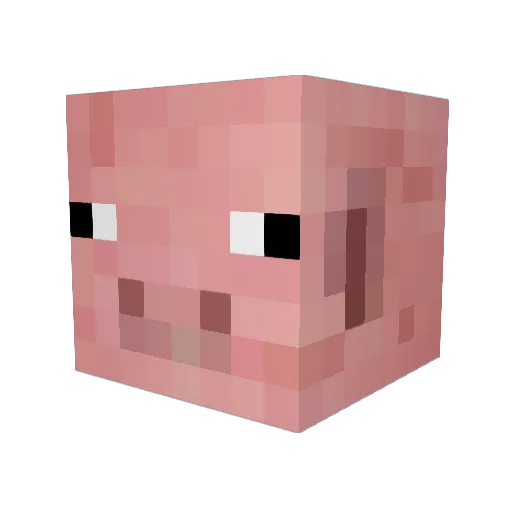 wildcard99966 Minecraft avatar head, 3D render