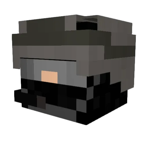 wildcat2018 Minecraft avatar head, 3D render