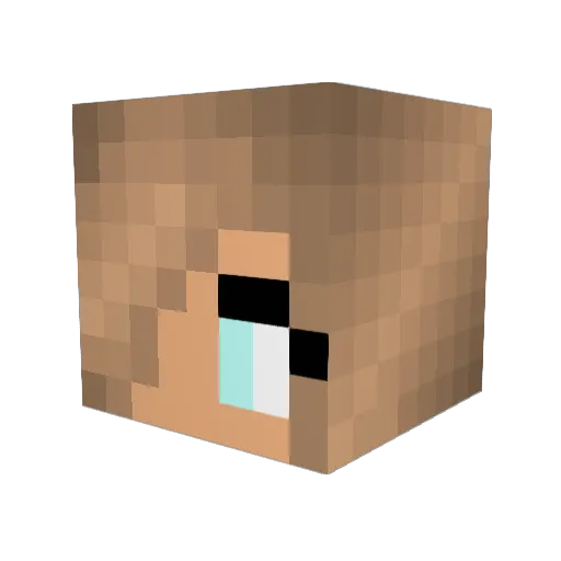 wildcat_15 Minecraft avatar head, 3D render