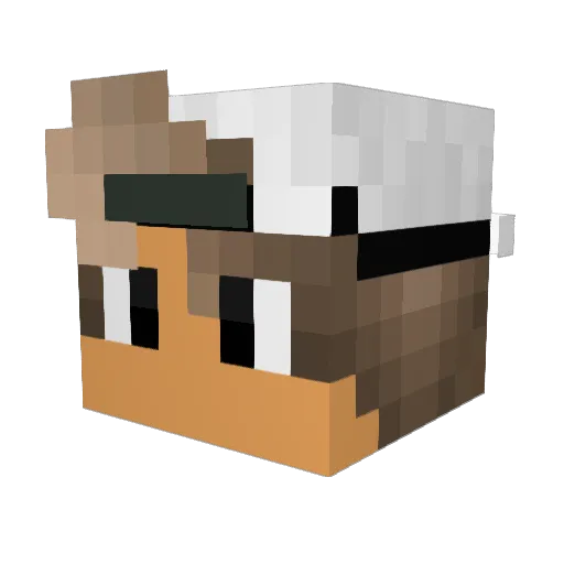wilde222 Minecraft avatar head, 3D render