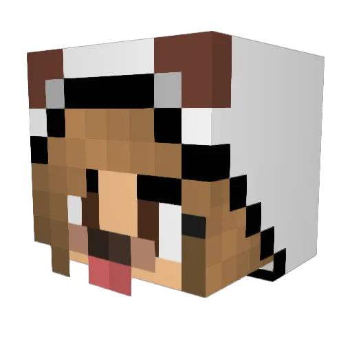 wilderose1 Minecraft avatar head, 3D render