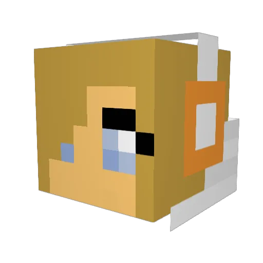 wildface97 Minecraft avatar head, 3D render