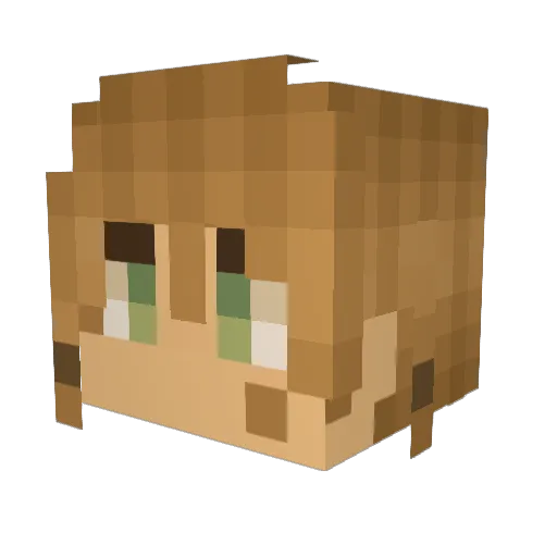 wildfire124 Minecraft avatar head, 3D render