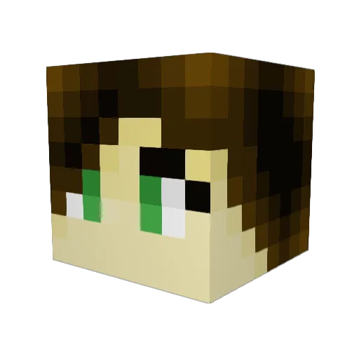 wildfire_1 Minecraft avatar head, 3D render