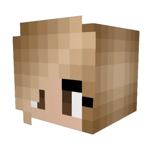 wildflowerxo Minecraft avatar head, 3D render