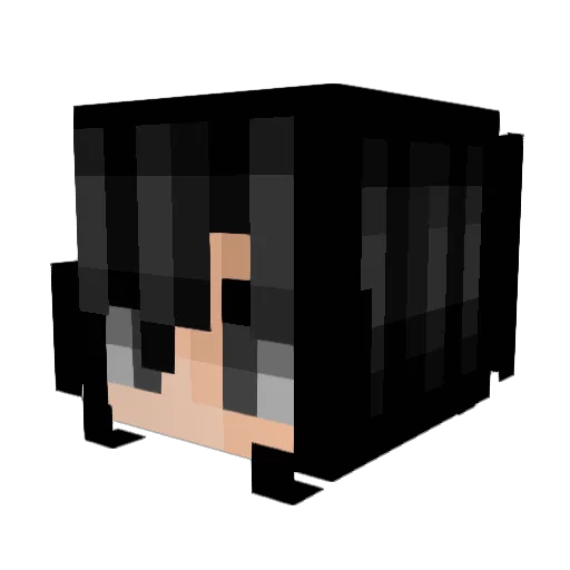 wildflxwerr Minecraft avatar head, 3D render