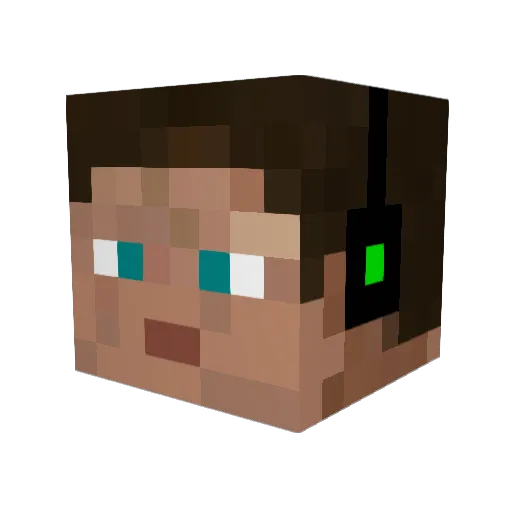 wildman171 Minecraft avatar head, 3D render