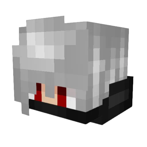 wildmic69 Minecraft avatar head, 3D render