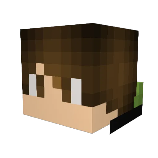 wildog24 Minecraft avatar head, 3D render