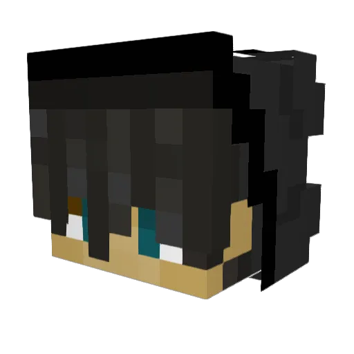 wildpandattv Minecraft avatar head, 3D render