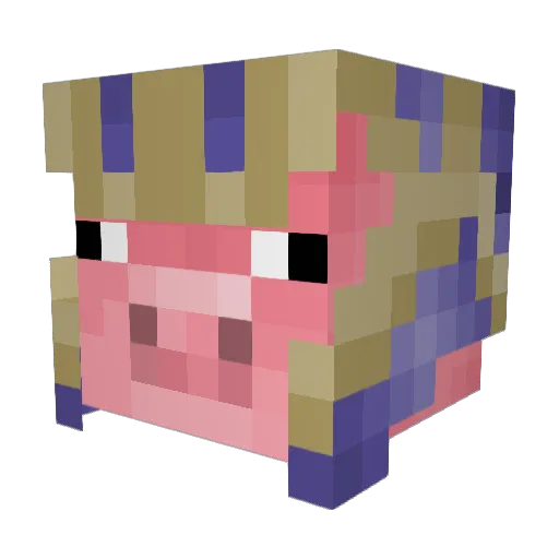wildpiggie Minecraft avatar head, 3D render