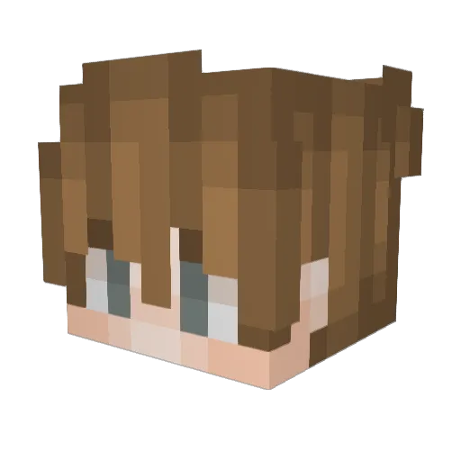 wildr00tbeer2 Minecraft avatar head, 3D render