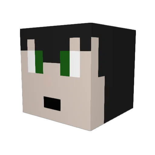 wildrage187 Minecraft avatar head, 3D render