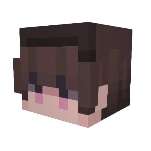 wildscallop Minecraft avatar head, 3D render