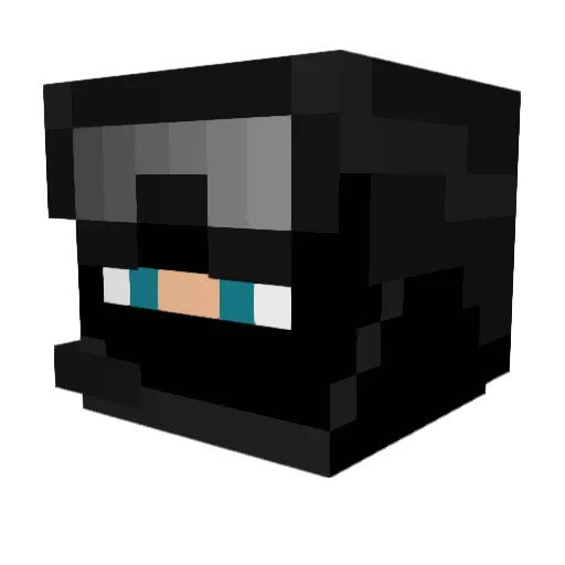 wildsnake5 Minecraft avatar head, 3D render