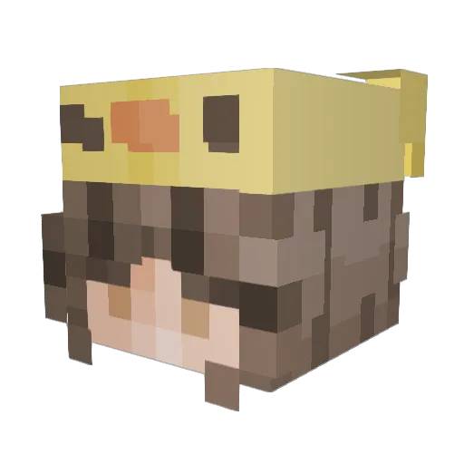 wildtaken Minecraft avatar head, 3D render