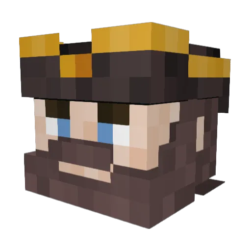 wildwestheroo Minecraft avatar head, 3D render