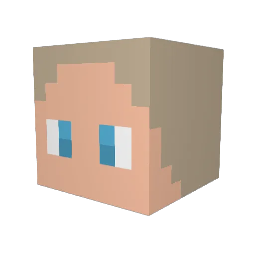 wildwx Minecraft avatar head, 3D render