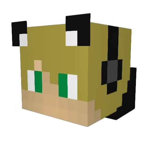 wilell Minecraft avatar head, 3D render